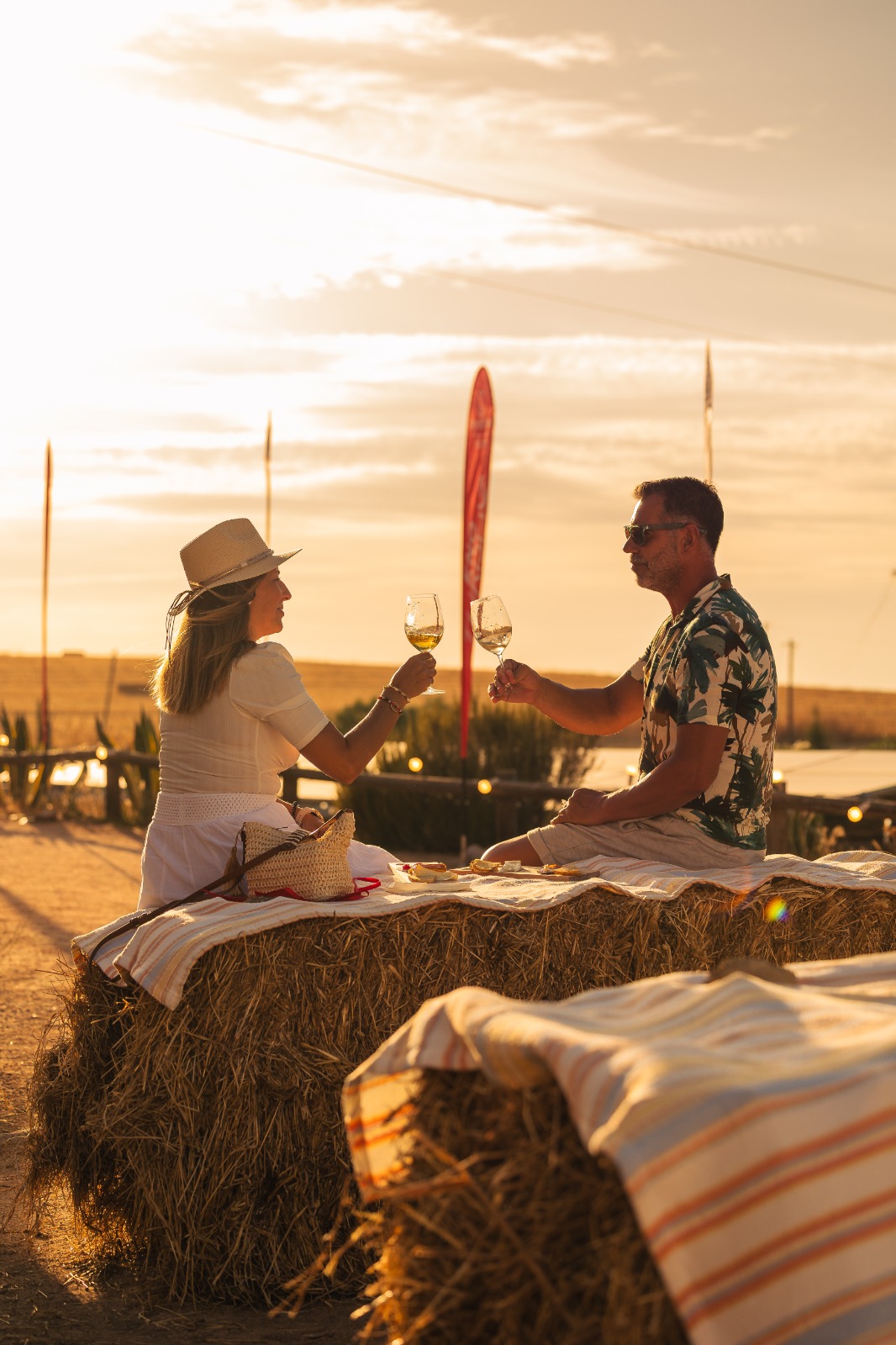 Música, petiscos e vinho. Não pode mesmo perder os sunsets da Ervideira. Saiba quando acontecem