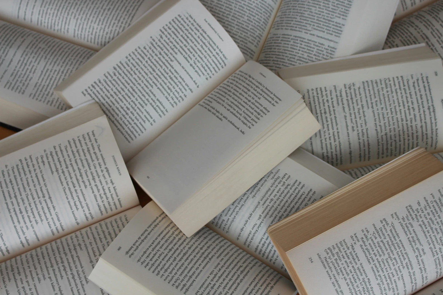 Dia Mundial do Livro. 9 obras de autores portugueses que o vão deixar apaixonado pela leitura