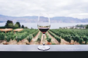 Este tinto do Douro é o “Melhor Vinho do Ano”. Saiba quanto custa e onde o pode comprar