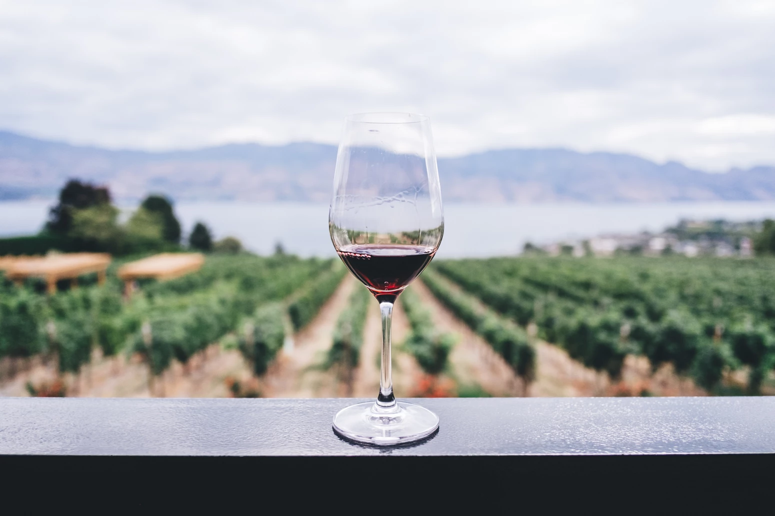 Este tinto do Douro é o “Melhor Vinho do Ano”. Saiba quanto custa e onde o pode comprar